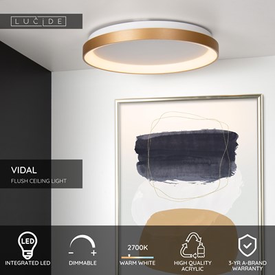 Lucide VIDAL - Flush ceiling light - Ø 48 cm - LED Dim. - 1x38W 2700K - Matt Gold / Brass